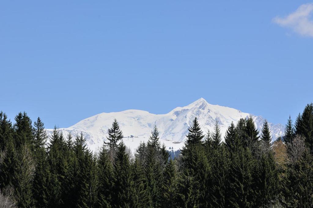 Chalet Le Prariand - Megève Εξωτερικό φωτογραφία